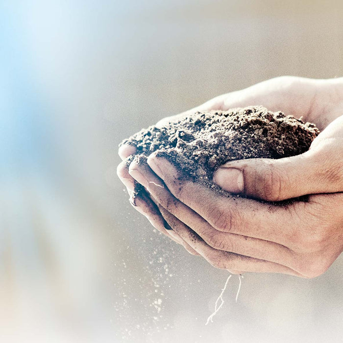 The Science Behind Spore-Based Probiotics (and Why It's Important)