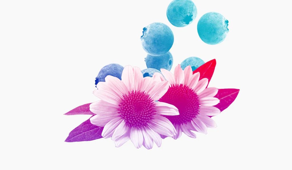 What is Biocidin? Where to Buy It in NZ and Australia | Nutritional Medicine NZ
